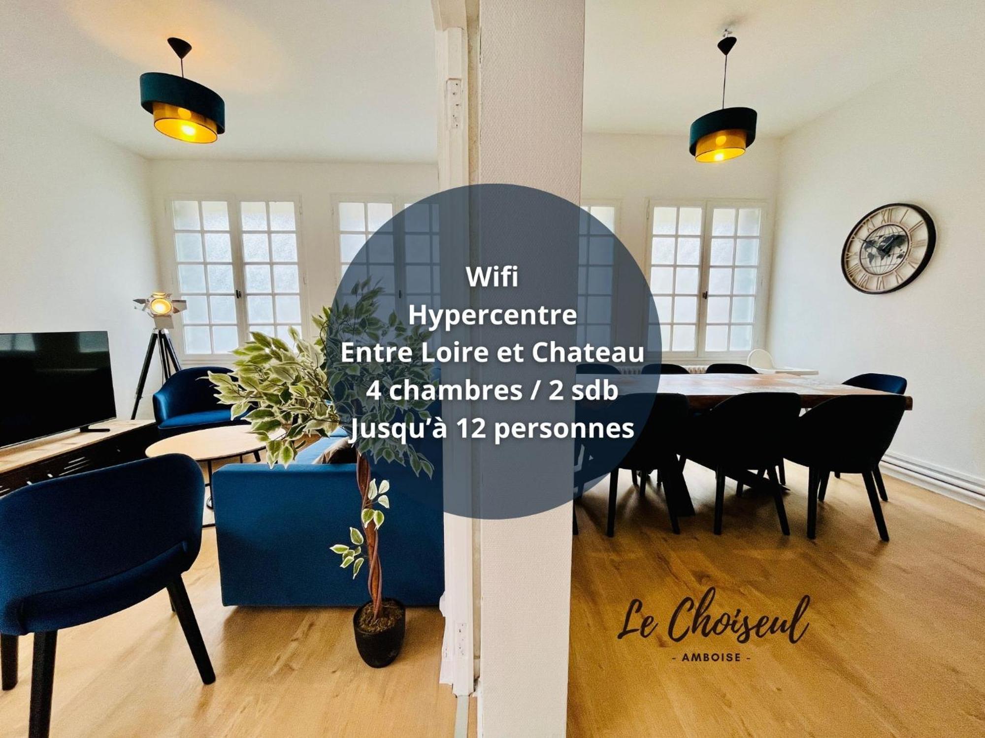 Le Choiseul - T5 Entre Loire Et Chateau Royal - Manoir De La Concorde Амбуаз Екстер'єр фото